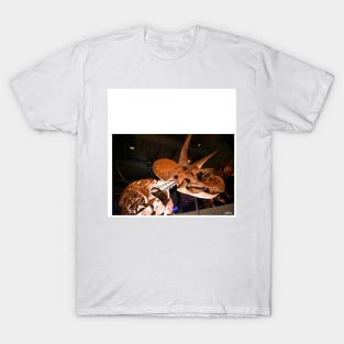 the triceratops dinosaur fossil in museum portrait ecopop photo art T-Shirt